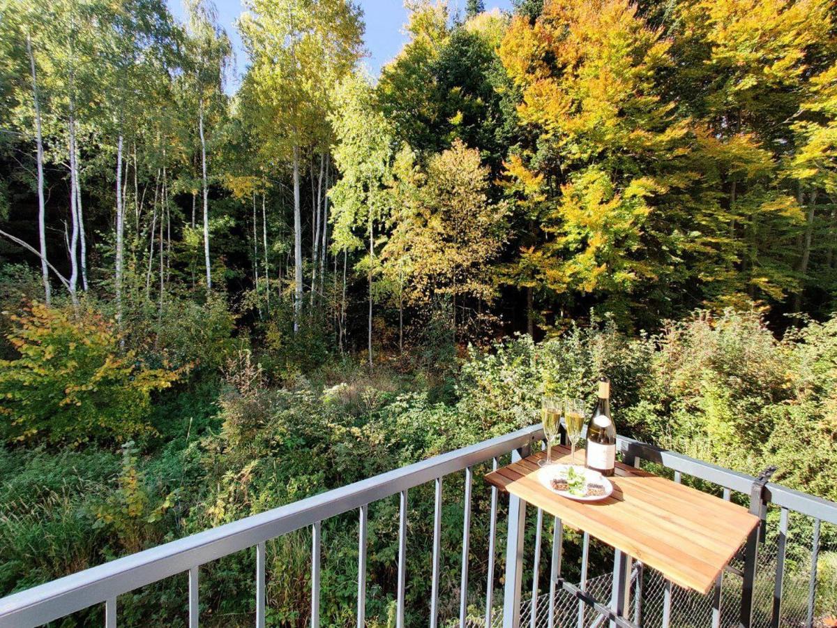 Apartment Grun Wald Mariánské Lázně Exterior foto